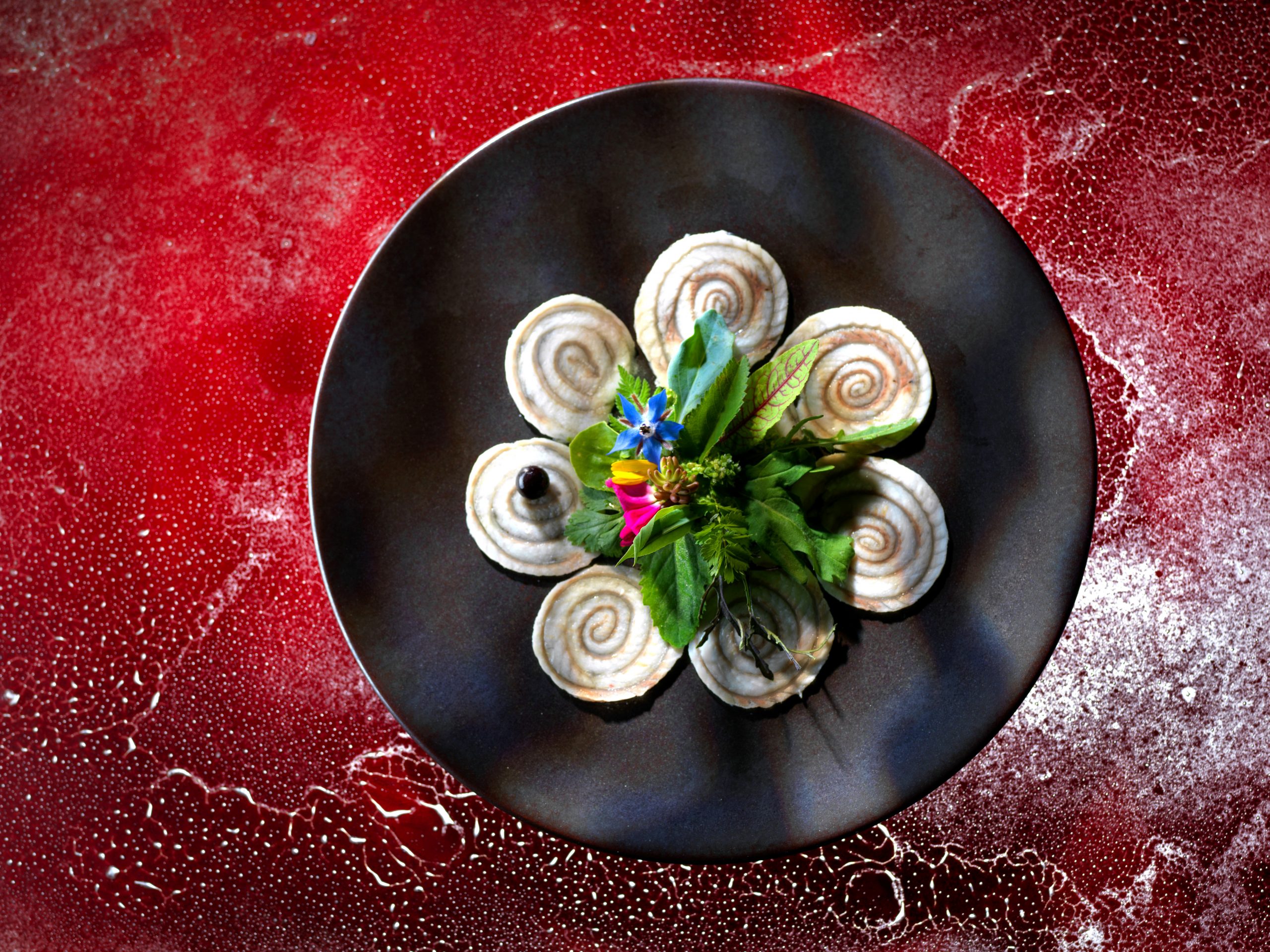 Photographie gastronomique Fine Rouelle d'Anguilles Photographie gastronomique Fine Rouelle d'Anguilles